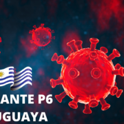 P6 La Variante Uruguaya de Coronavirus Surgió En Montevideo y Predominio en el 2020