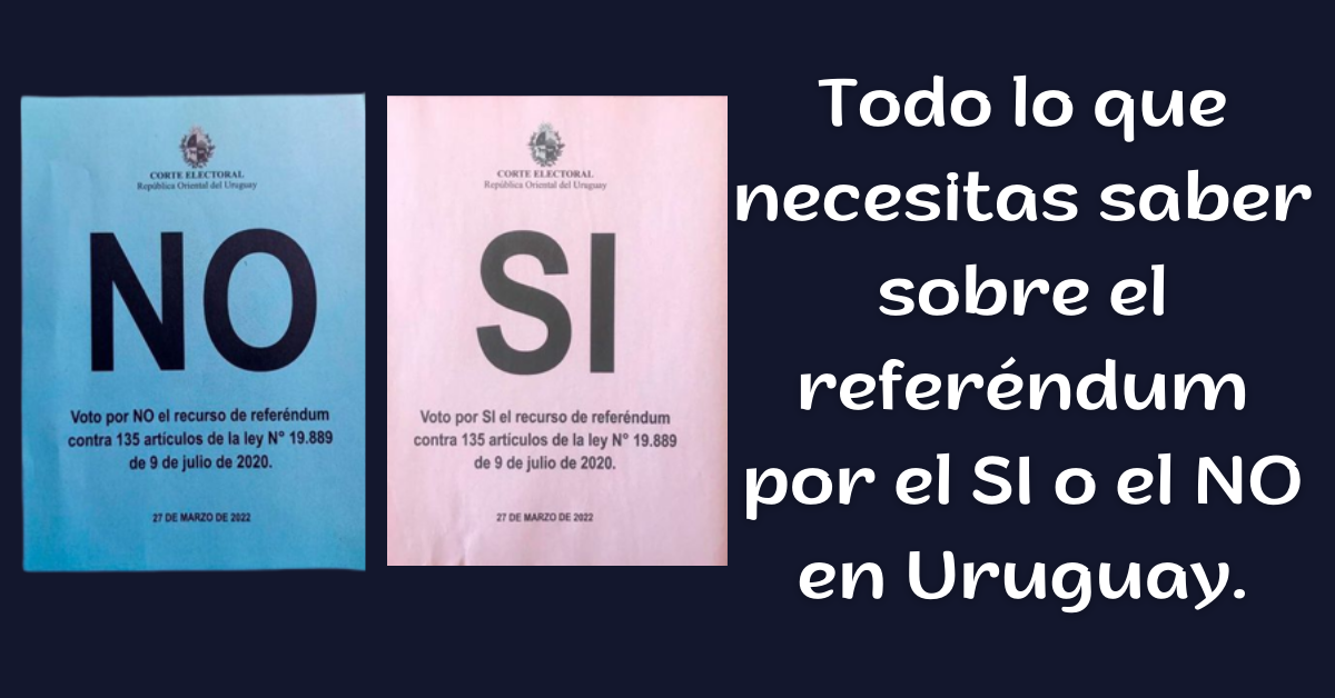 todo sobre las elecciones por la LUC