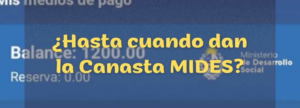 Canasta MIDES TUAPP 2022 ¿Continua?