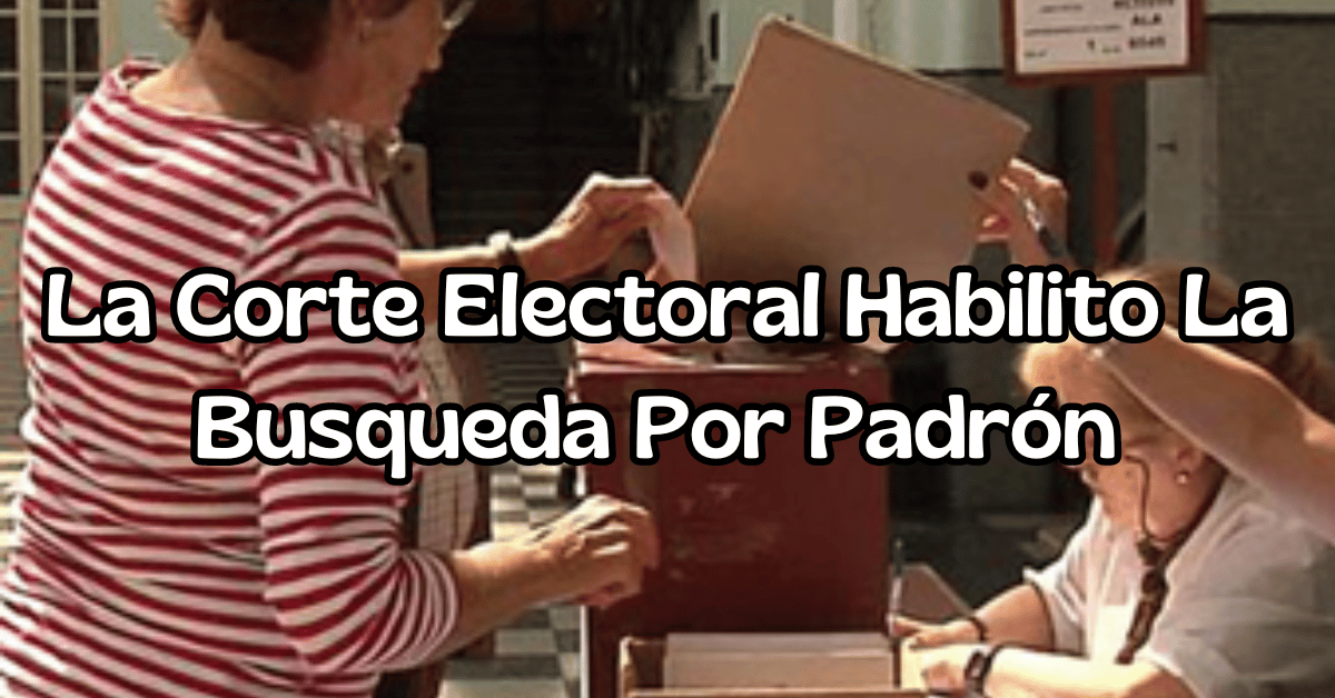 elecciones internas 2024