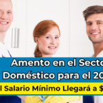 aumento en el sector domestico 2025