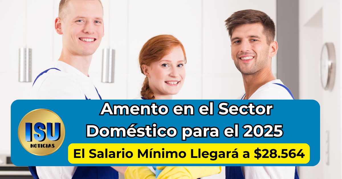 aumento en el sector domestico 2025