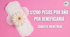 canasta menstrual