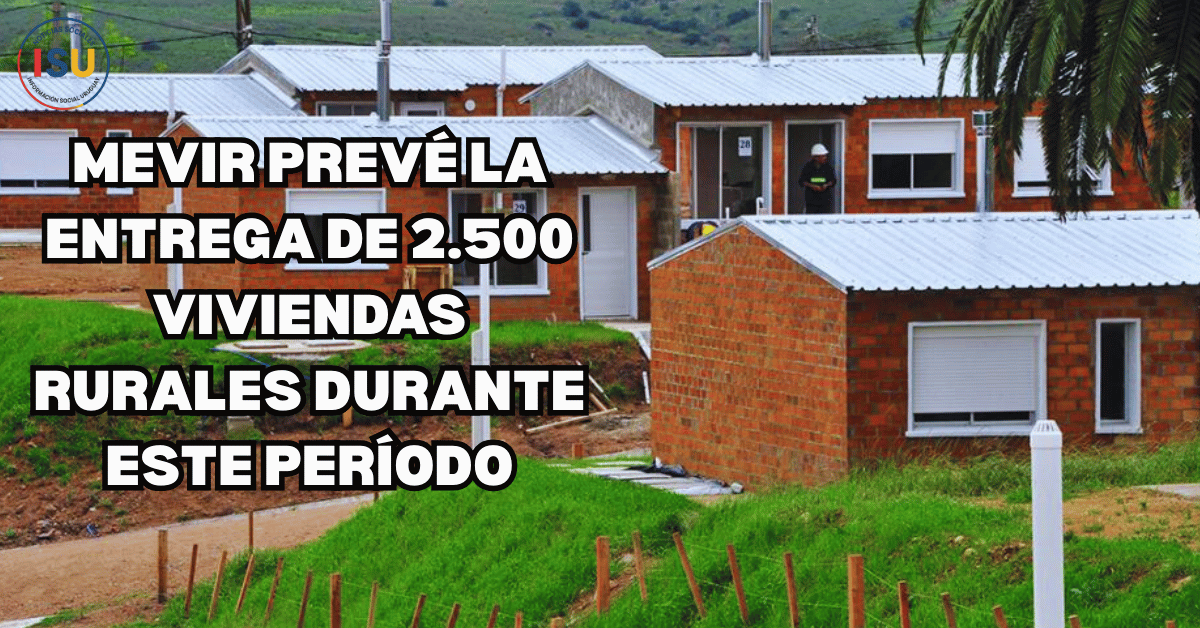 vivienda mevir