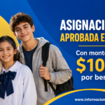 asignación única